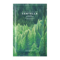 Madagascar Centella spot cover patch- ultra thin patches for imperfections